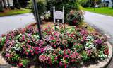 1881 Flowering Drive - Photo 49