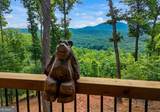 731 Native Trail - Photo 14
