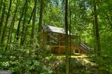 373 Barnes Creek Road - Photo 19