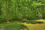 373 Barnes Creek Road - Photo 8