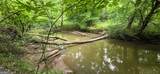 420 Padgett Road - Photo 10