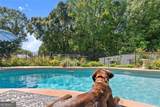 195 Sims Farm Way - Photo 48