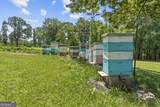 195 Sims Farm Way - Photo 70