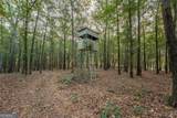 195 Sims Farm Way - Photo 87