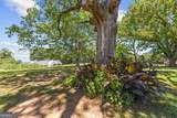 195 Sims Farm Way - Photo 94