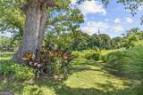 195 Sims Farm Way - Photo 95