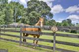 4133 H D Atha Road - Photo 50