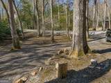 480 Wahu Hu Drive - Photo 47