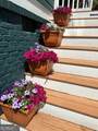 176 Sisson Avenue - Photo 4