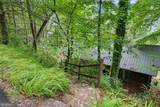 574 Bachelors Button Drive - Photo 10