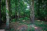 1040 Hillary Lane - Photo 49