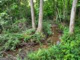 219 Staurolite Mountain Road - Photo 46