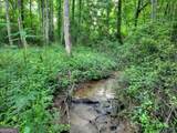 219 Staurolite Mountain Road - Photo 47