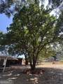 215 Denham Street - Photo 14