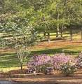 210 Etowah Landing - Photo 67