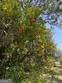 602 Alexander Street - Photo 24