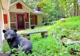 439 Frost Pine Circle - Photo 7