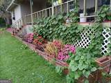 187 Bierce Drive - Photo 27