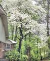 1256 Piedmont Road - Photo 5