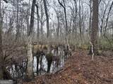 899 Foxboro Lane - Photo 45