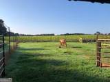 1200 Woodlawn Road - Photo 111