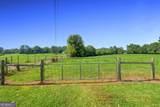 481 North Fairview Road - Photo 44