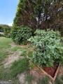 2130 Saint Thomas Way - Photo 28