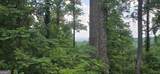 001 Windning Ridge - Photo 1