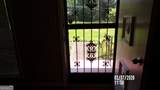 2705 Neptune Place - Photo 7