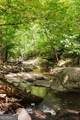 1381 Elder Mill Road - Photo 44