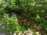 135 The Builders Hill - Photo 10