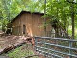 1319 Bermuda Road - Photo 18