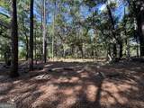 3852 Poor Robin Road - Photo 20