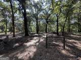 3852 Poor Robin Road - Photo 21