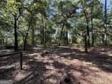 3852 Poor Robin Road - Photo 22