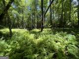80 Windchase Lane - Photo 47