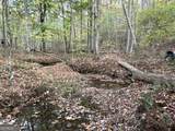 1806 Browning Road - Photo 14