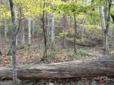 1806 Browning Road - Photo 15