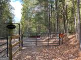 1806 Browning Road - Photo 2