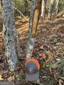 1806 Browning Road - Photo 47