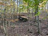 1806 Browning Road - Photo 69