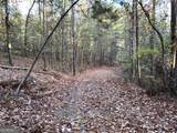 1806 Browning Road - Photo 74