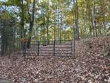 1806 Browning Road - Photo 75