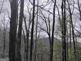 0 LOT 289 Cobblewood Trail - Photo 1