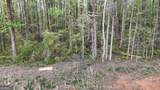 0 Burruss Mill Road - Photo 12