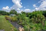 7625 County Line Road - Photo 83