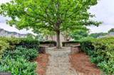 2511 Royston Drive - Photo 3