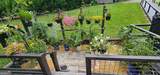 567 Dale Trail - Photo 5