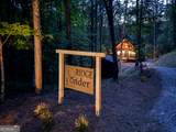 138 Nectar Lane - Photo 52