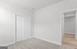 280 Nesta Grove Drive - Photo 31